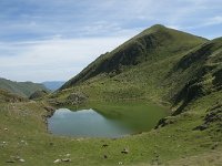 F, Ariege, Seix, Etang d Areau 5, Saxifraga-Willem van Kruijsbergen